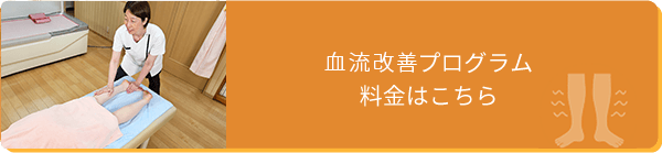 血流改善プログラム 料金表